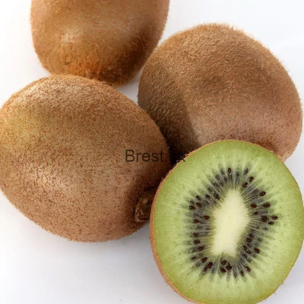 Actinidia deliciosa Solissimo ®